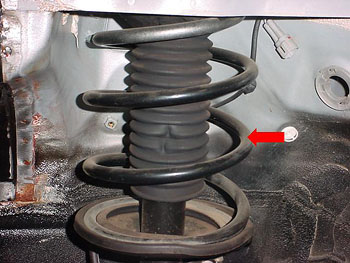 coilspring.jpg